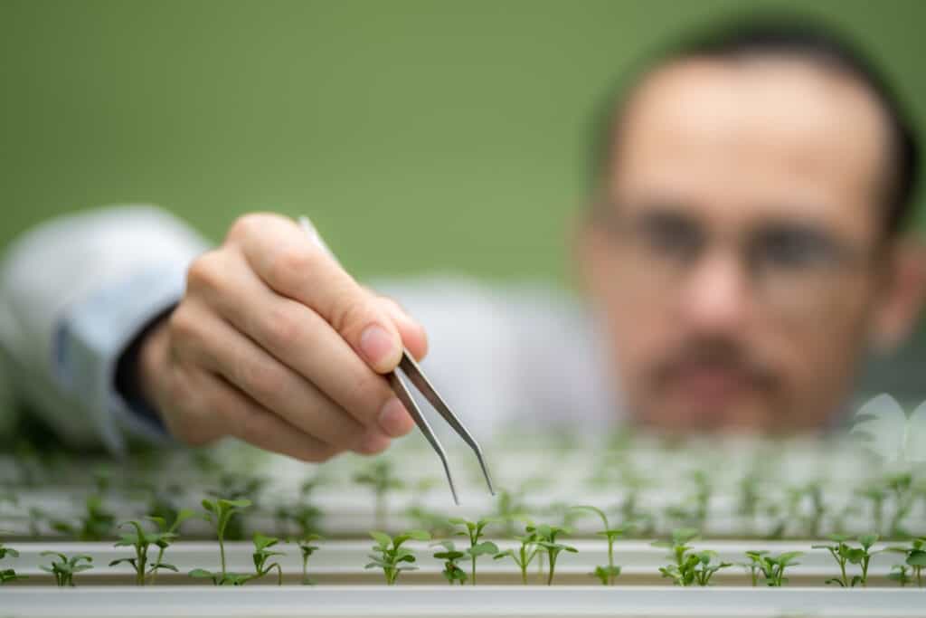 man working with plants